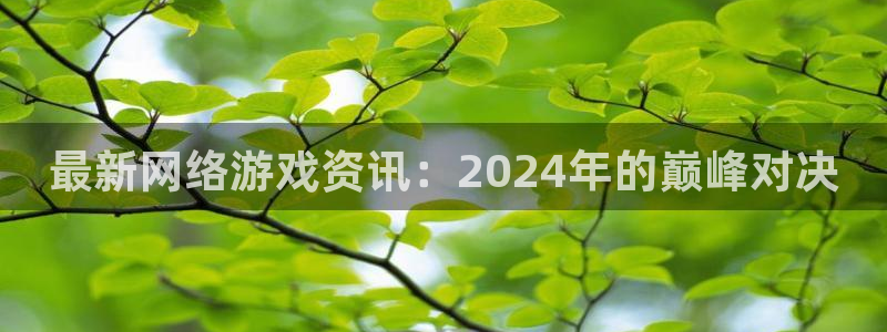 极悦娱乐平台官方网站：最新网络游戏资讯：2024年的巅峰对决