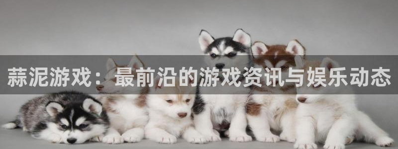 极悦娱乐平台登录线路：蒜泥游戏：最前沿的游戏资讯与娱乐动态