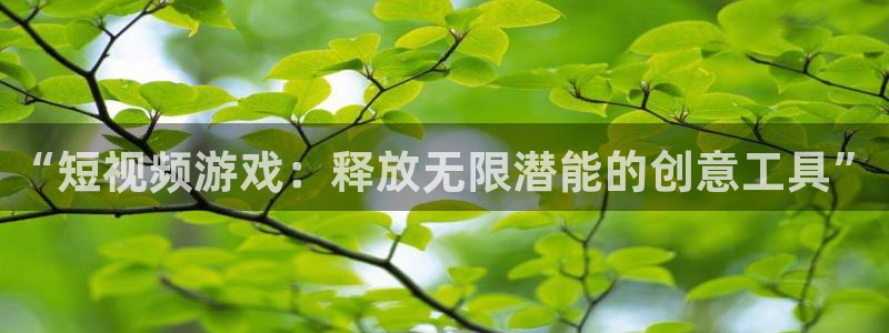 极悦娱乐什么意思：“短视频游戏：释放无限潜能的创意工具”