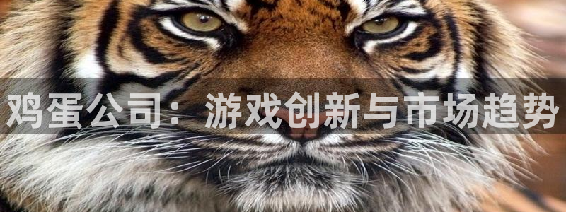 极悦娱乐平台注册资金多少：鸡蛋公司：游戏创新与市场趋势