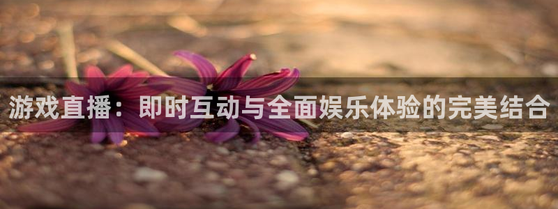 极悦娱乐官网：游戏直播：即时互动与全面娱乐体验的完美结合