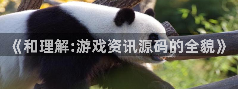 极悦娱乐平台注册：《和理解:游戏资讯源码的全貌》