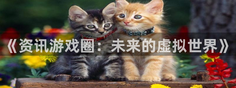 极悦娱乐平台负责人：《资讯游戏圈：未来的虚拟世界》