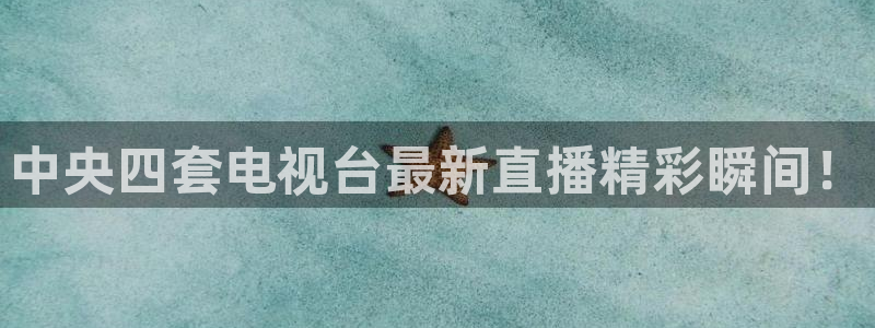 搜球8直播nba直播