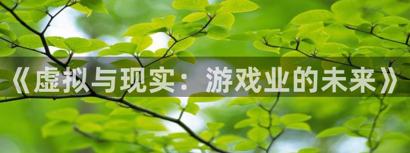 极悦娱乐是正规公司吗：《虚拟与现实：游戏业的未来》