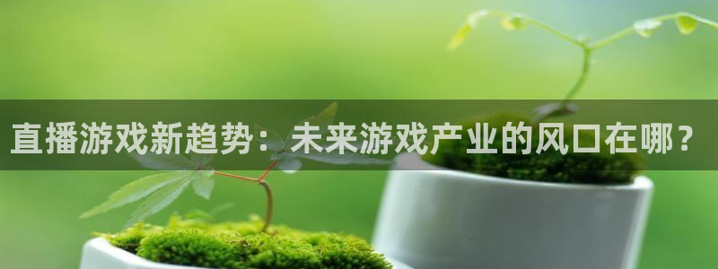 赢咖7极悦登录网址：直播游戏新趋势：未来游戏产业的风口在哪？