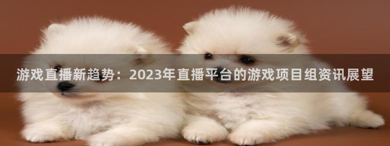 极悦娱乐公司简介图片：游戏直播新趋势：2023年直播平台的游