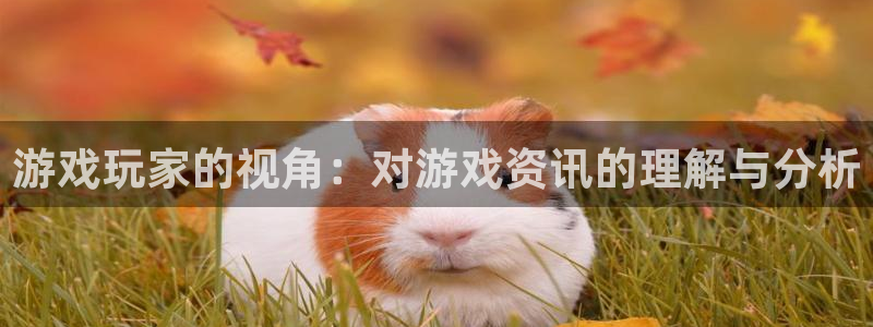 极悦娱乐棒7O244信仰好：游戏玩家的视角：对游戏资讯的理解