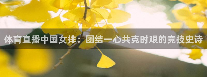 搜球直播体育：体育直播中国女排：团结一心共克时艰的竞技史诗
